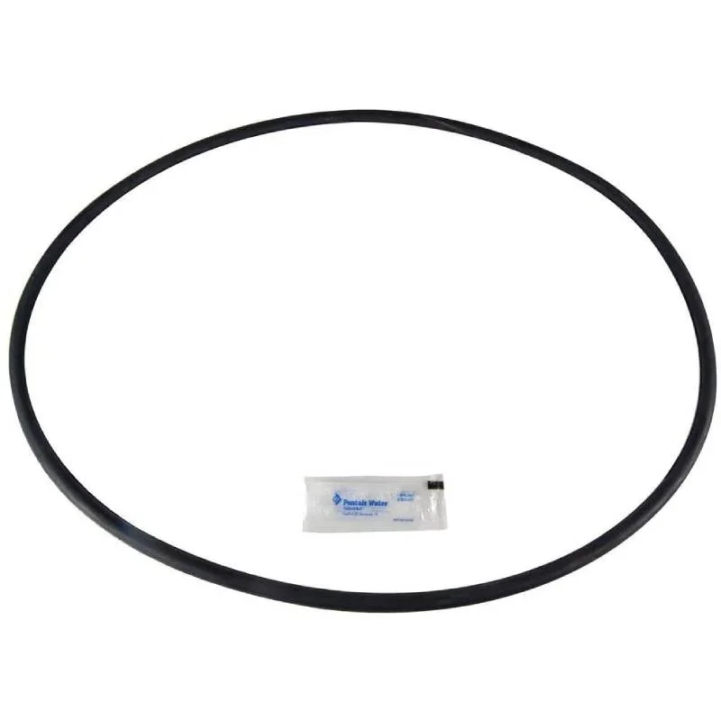 Pentair-27001-0061S-PldPldePlm-Tank-O-Ring-1