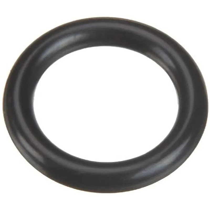 Pentair-35505-1423-System3-Air-Relief-Nipple-O-Ring