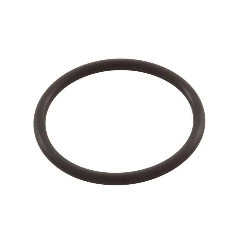 Pentair-35505-1429-SYSTEM-3-Small-Bulkhead_Elbow-O-Ring