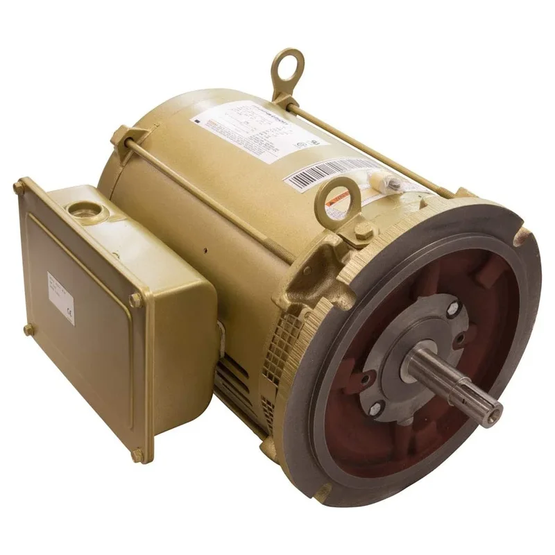 Pentair-357204S-C-Series-Motor