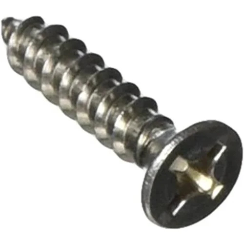 Pentair-37416-0004-Flat-Head-Screw1