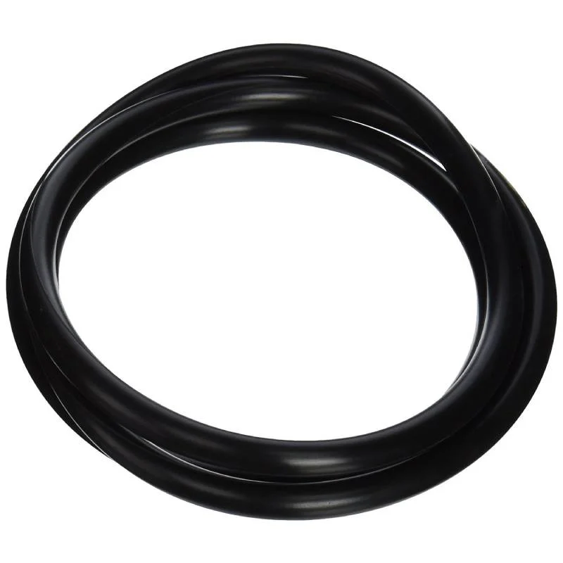 Pentair-39010200Z-Clean-And-Clear-PlusFNS-Plus-Tank-O-Ring