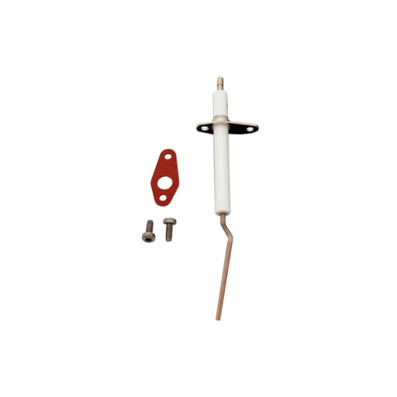 Pentair-462023-ETi-400-Flame-Sensor