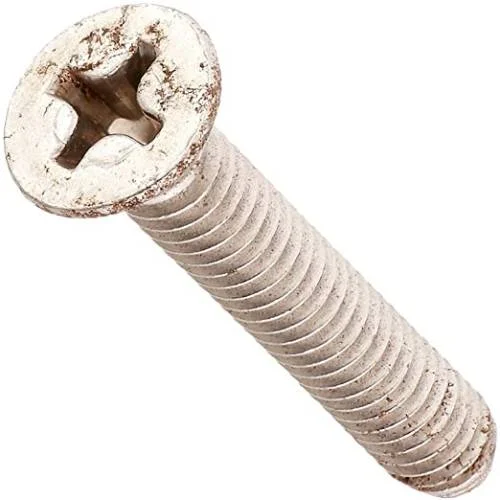 Pentair-516242-Bermuda-SS-Screw1