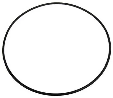 Pentair-516244-Float-Valve-O-Ring-Main