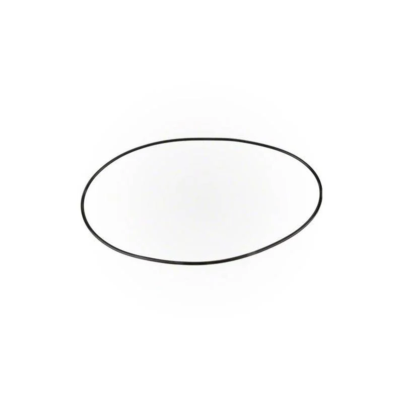 Pentair-521507-Chem-Container-Lid-O-Ring