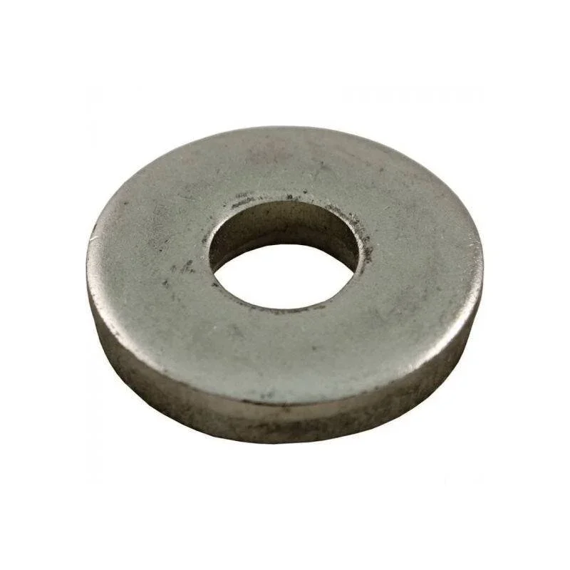 Pentair-53006300Z-Clean-And-Clear-Plus-Large-Tank-Clamp-Washer