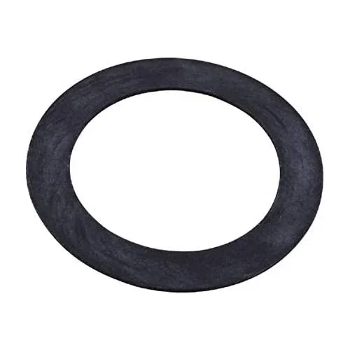 Pentair-552406-White-Vinyl-Wall-Fitting-Gasket2