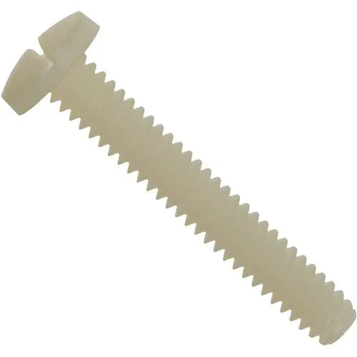 Pentair-552533-Nylon-NS10-Screw1