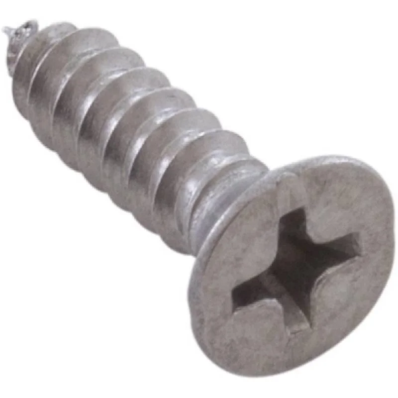 Pentair-552537-SS-Screw