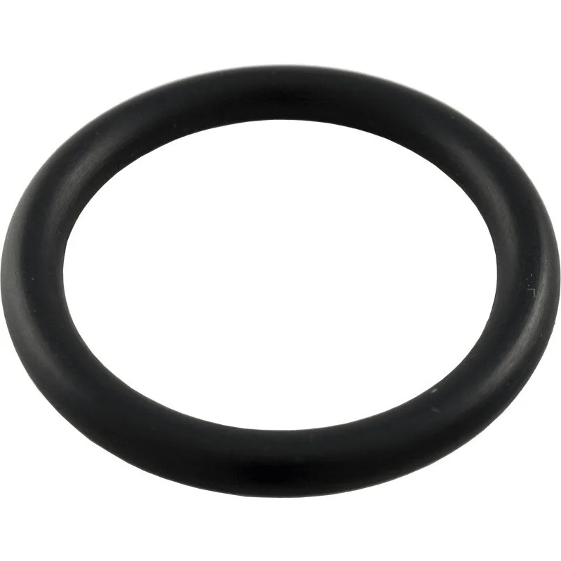 Pentair-57006800-Air-Relief-O-Ring2
