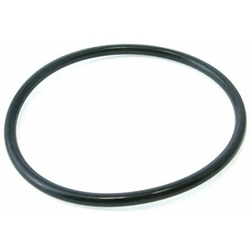 Pentair-59000600-FNS-Plus-Stand-Pipe-O-Ring
