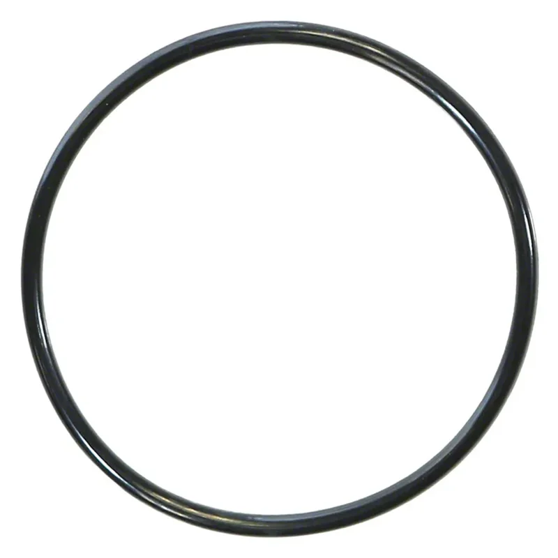 Pentair-590118Z-ColorVision-O-Ring-Kit