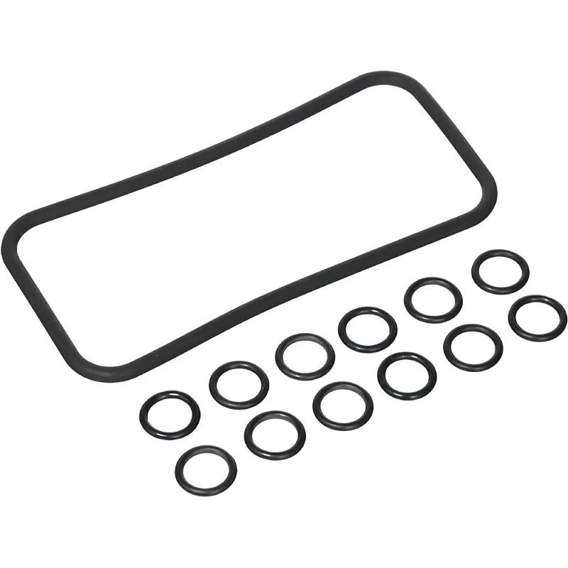 Pentair-77707-0120-Max-E-Therm-Manifold-O-Ring-Kit1