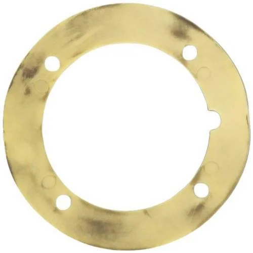 Pentair-87204100-LIF-15-Face-Plate-Gasket2