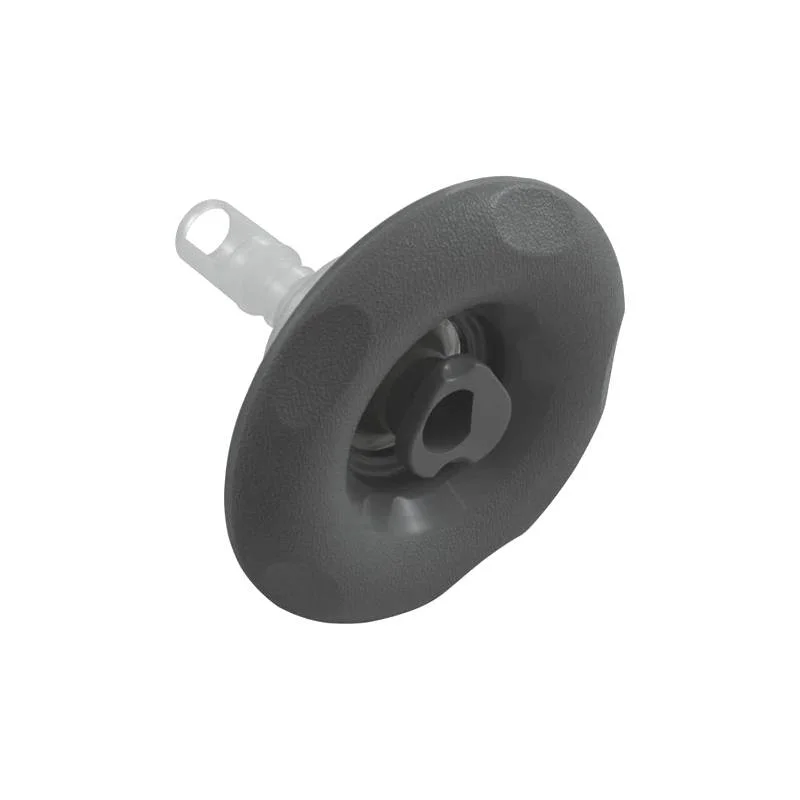 Pentair-9847WW-Dark-Gray-Cyclone-Luxury-Jet-Insert