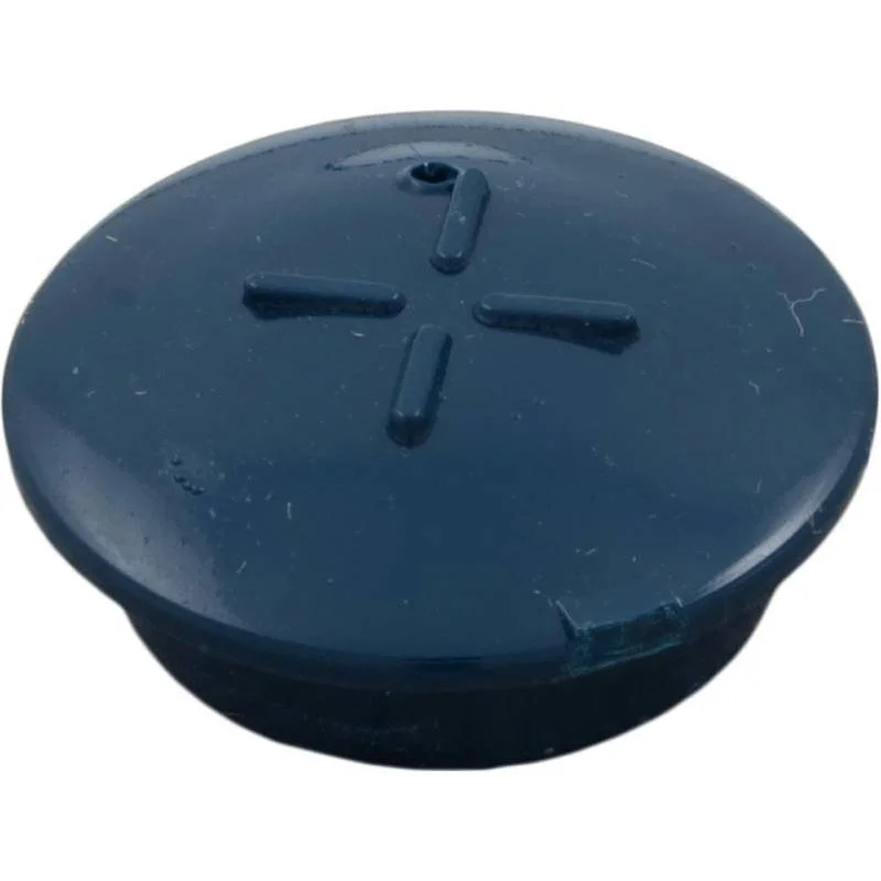 Pentair-R172014-Blue-Cartridge-Plug-1