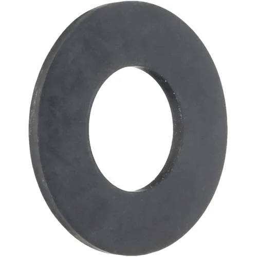 Pentair-R172015-Neo-Module-Filter-Gasket1