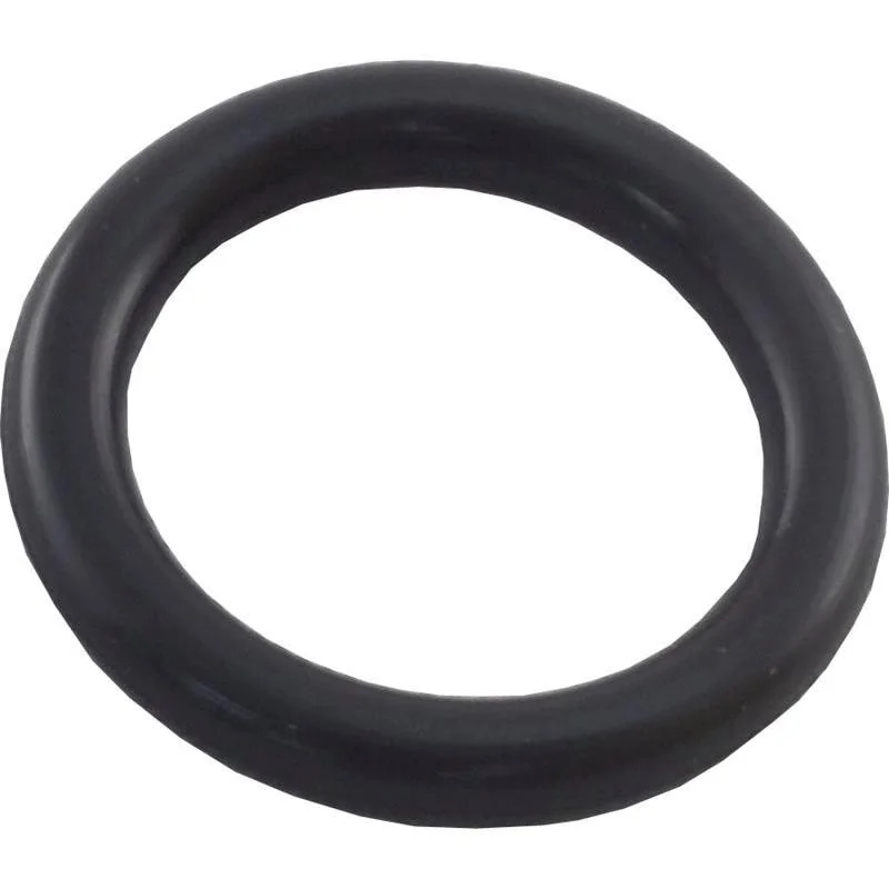 Pentair-R172221-VENT-VALVE-O-Ring2