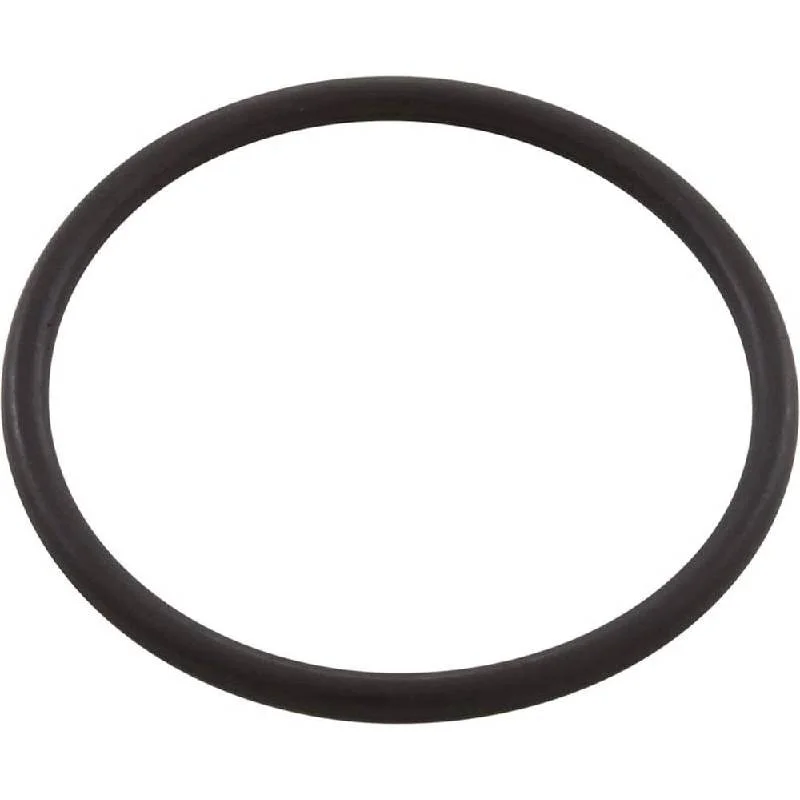 Pentair-R172319-Bottom-O-Ring