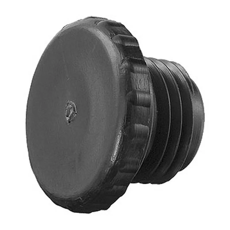 Pentair-R172392-.25-MMPT-Access-Plug