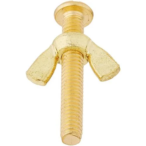 Pentair-R221156-Brass-Bolt-Wing-Nut2