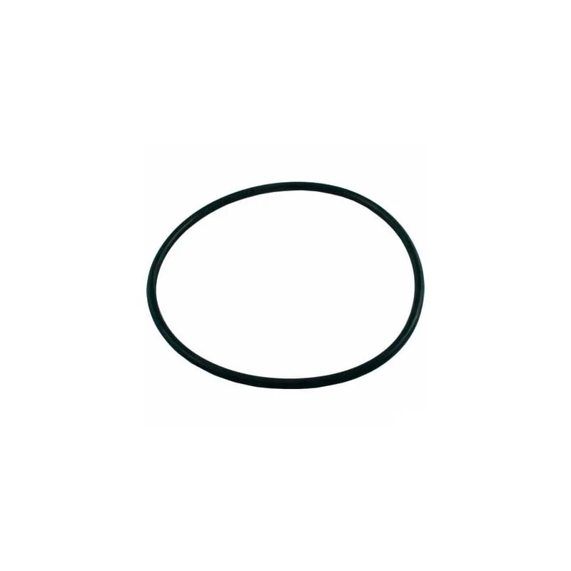 Pentair-U9-369-Valve-Flange-O-Ring