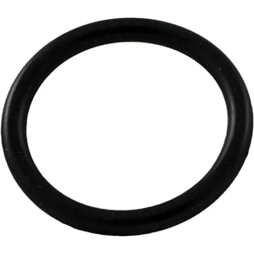 Pentair-U9-370-CRISTAL-FLO-LATERAL-TUBE-O-Ring1