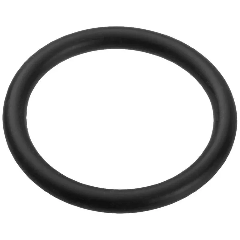 Pentair-U9-371-Cristal-Flo-Drain-Cap-O-Ring