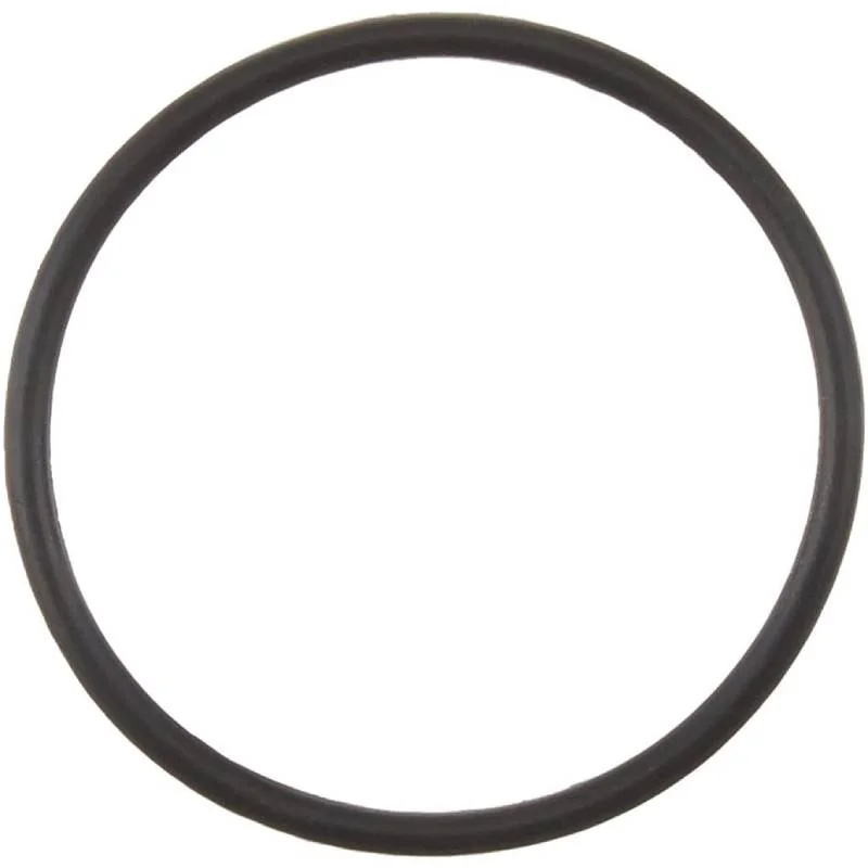 Polaris-9-100-5132-380360-Feed-Pipe-Oring