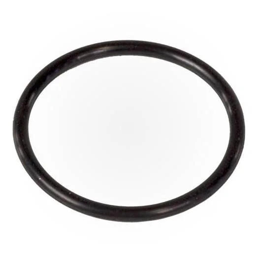 Polaris-R0544000-3900-Sport-WMS-To-VAC-Tube-Oring1