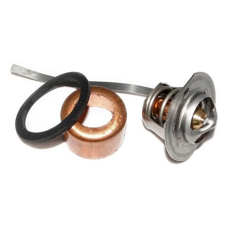Raypak-002546F-UG-Assembly-Component
