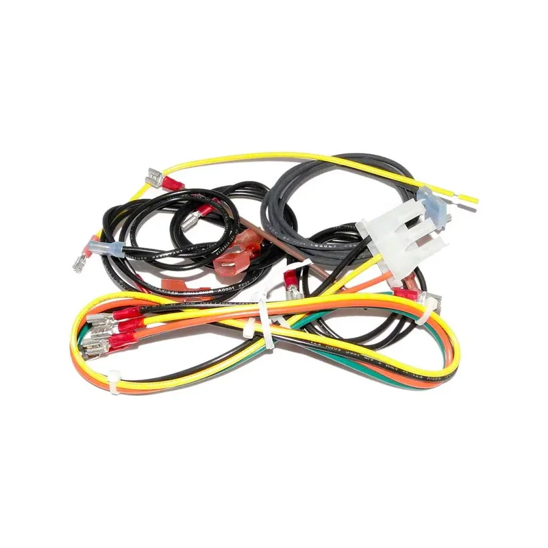 Raypak-004011F-Wire-Harness-Kit