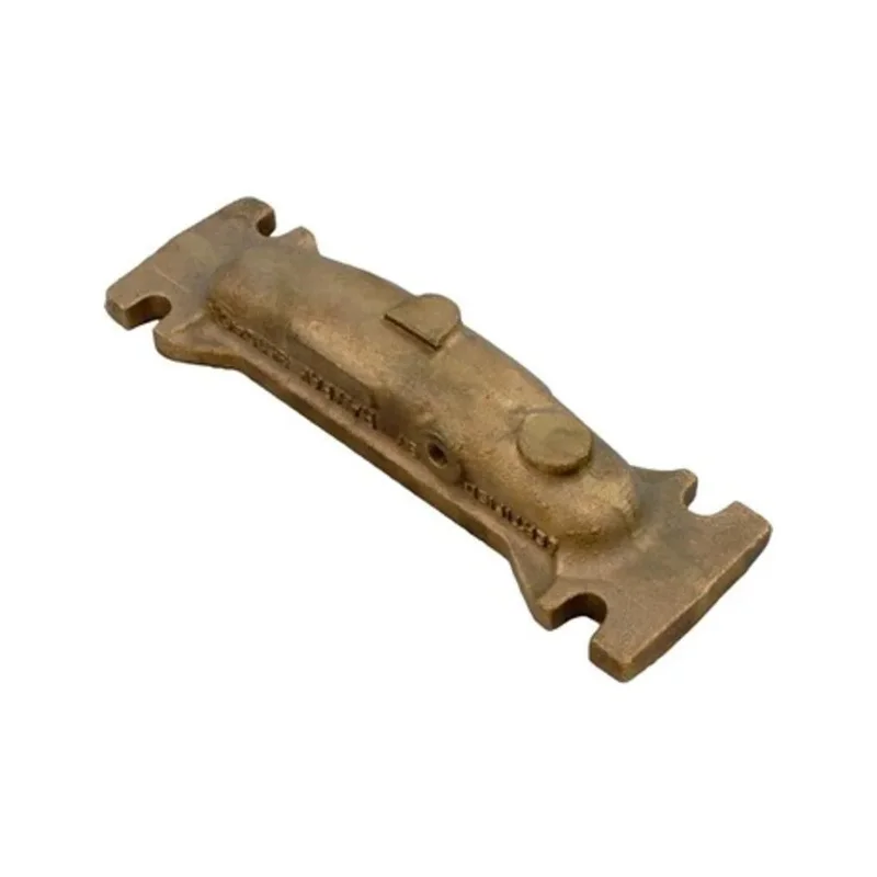 Raypak-004888F-1