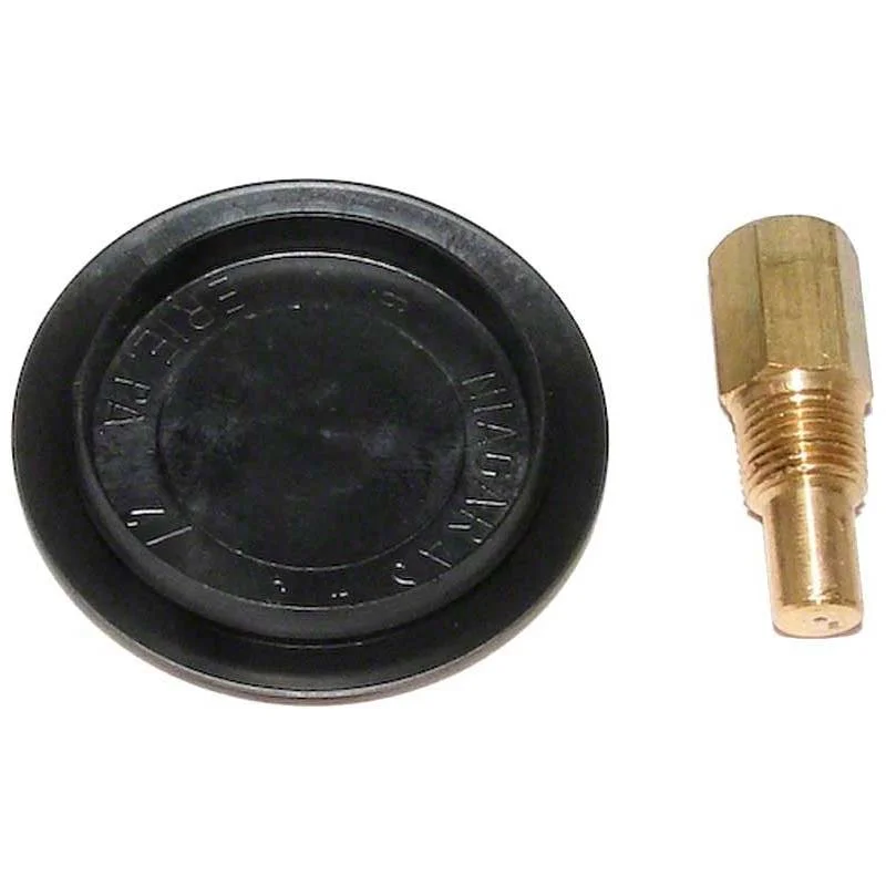 Raypak-005264F-206A-406A-207A-407A-Rear-Drain-PLUG-Cover1