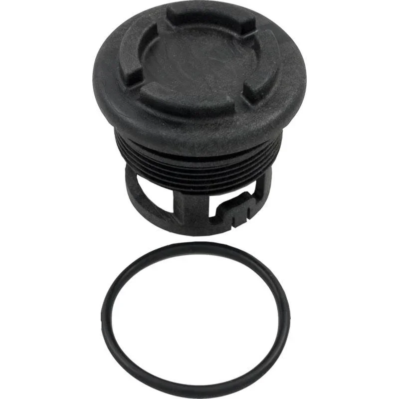 Raypak-006720F-185-407-Capron-Unitherm-Governor-PLUG1