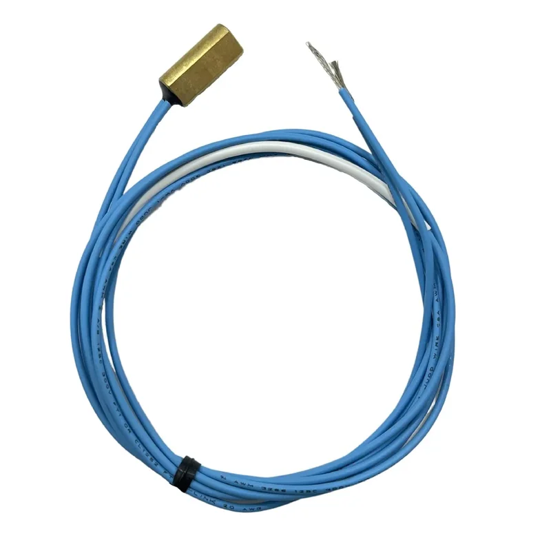 Raypak-010787F-Water-Sensor