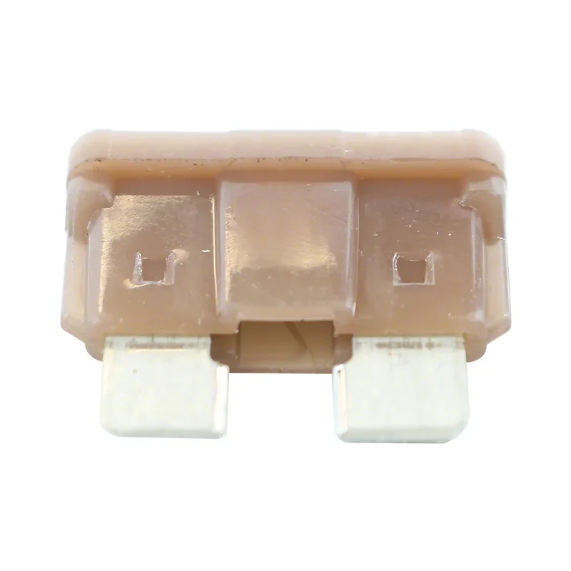 Raypak-013733F-Fuse