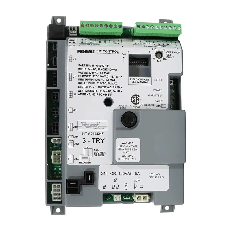 Raypak-014324F-1