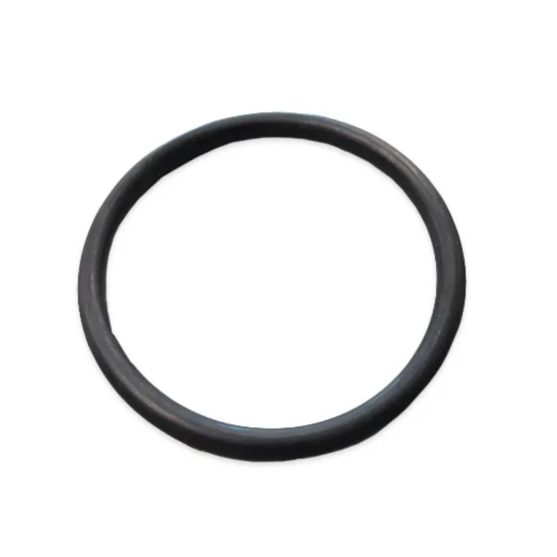 Solaxx-GNR00009-O-Ring-1