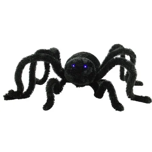 Spider-img1-1