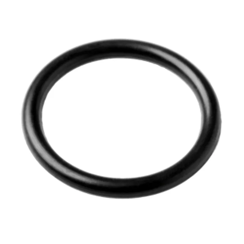 Sterling-Seal-Supply-O-301-AquaFlo-FM-Series-Suction-O-Ring-Replacement