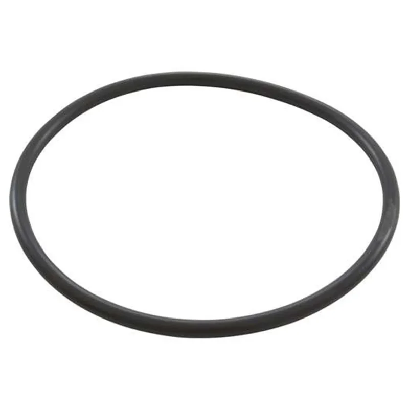 Sterling-Seal-Supply-O-302-Pentair-PacFab-Hydro-700-Trap-Lid-O-Ring1