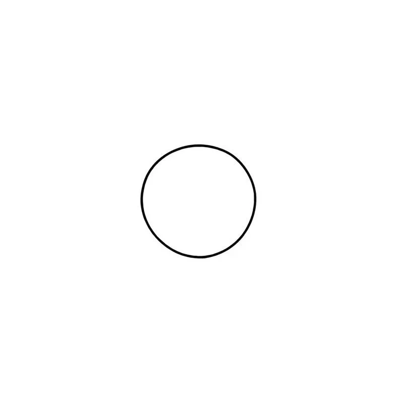 Sundance-6500-605-LX-Volute-O-Ring