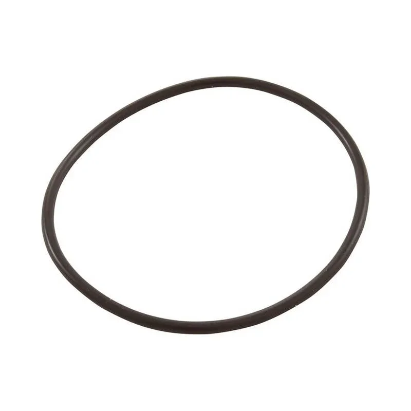 Sundance-6540-550-Diverter-Gate-Valve-Stem-O-Ring