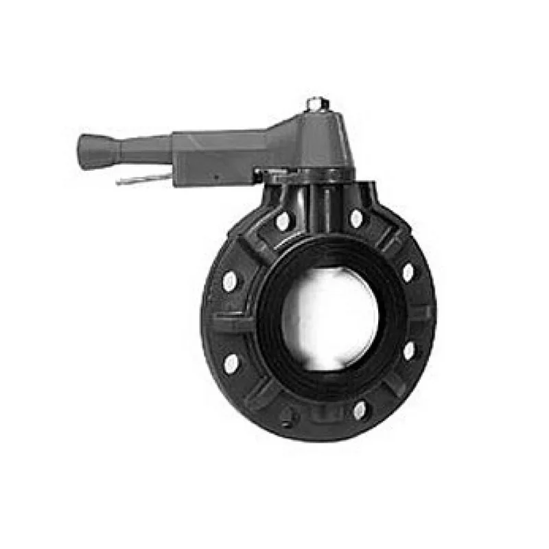 Thermoplastic-Valves-0300BFPX0EEWML-Industrial-Butterfly-Valve-3-In.-1