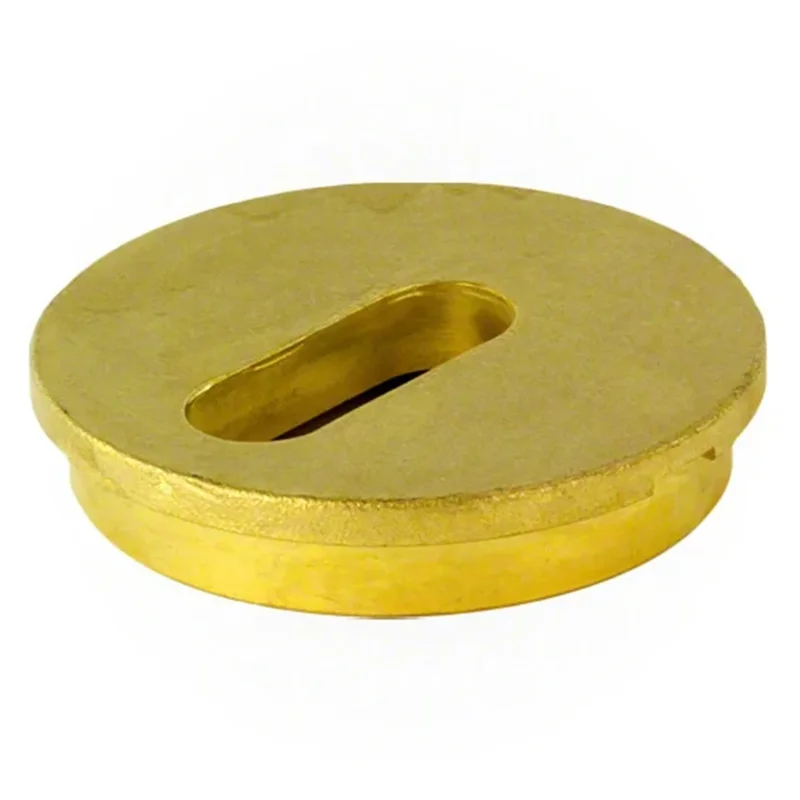 Zodiac-25597-000-220-Deck-Jet-Cover-Brass-Round