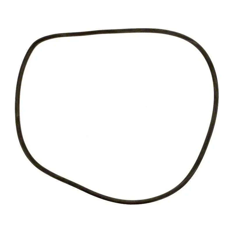 Zodiac-R0357800-CL_CV_DEL_DEV-Tank-O-Ring-4