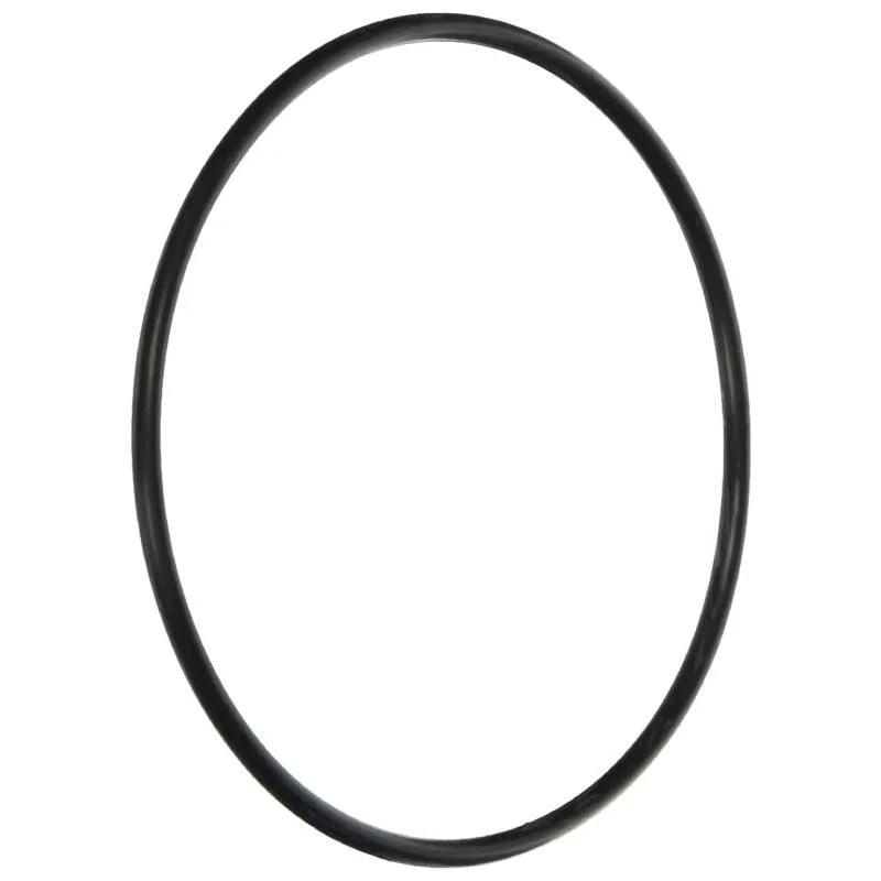 Zodiac-R0374500-Energy-Filter-O-Ring1