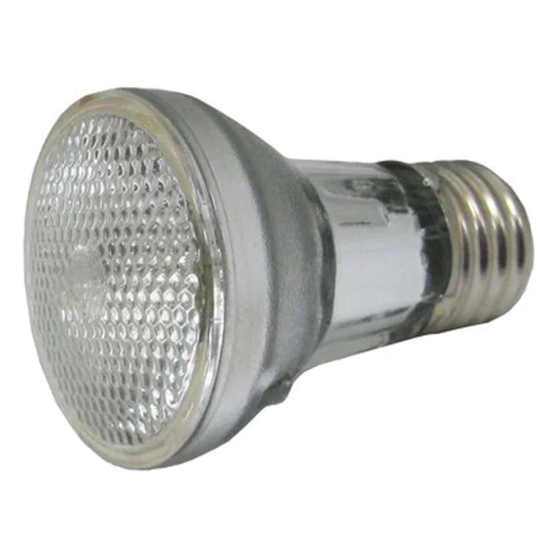 Zodiac-R0450505-Jandy-Lamp-Bulb-Replacement-60W-120V-1